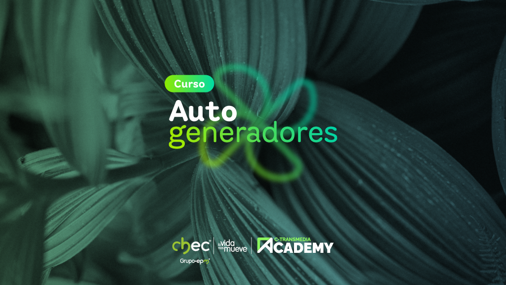 Autogeneradores a pequeña escala